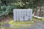 DSC06117.jpg