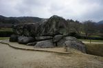 DSC06122.jpg