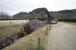 DSC06128.jpg
