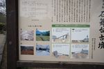 DSC06142.jpg