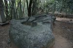 DSC06147.jpg