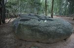 DSC06151.jpg