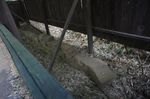 DSC06153.jpg