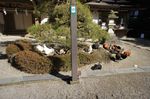 DSC06190.jpg