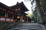 DSC06192.jpg