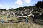 DSC06207.jpg