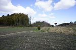 DSC06220.jpg