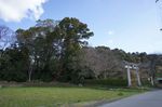 DSC06221.jpg