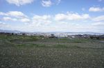 DSC06235.jpg