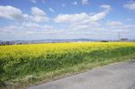 DSC06242.jpg