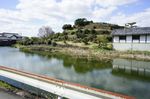 DSC06247.jpg