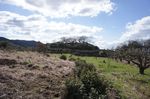 DSC06256.jpg
