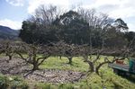 DSC06259.jpg