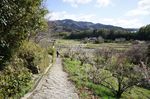 DSC06269.jpg