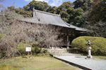 DSC06285.jpg