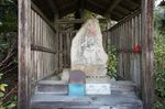 DSC06287.jpg