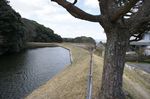 DSC06295.jpg