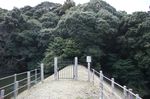 DSC06296.jpg