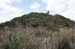 DSC06304.jpg