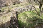 DSC06311.jpg