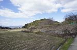 DSC06314.jpg