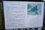 DSC06318.jpg