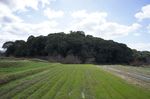 DSC06319.jpg