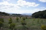 DSC06322.jpg