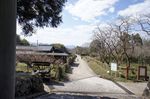 DSC06351.jpg