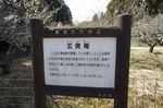 DSC06358.jpg