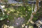 DSC06362.jpg