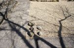 DSC06366.jpg