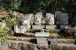 DSC06367.jpg