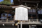 DSC06382.jpg