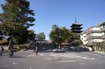 DSC06391.jpg