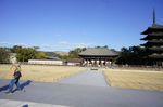 DSC06397.jpg