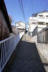 DSC06474.jpg