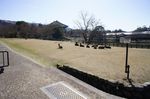 DSC06475.jpg