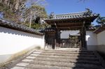 DSC06484.jpg