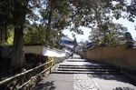 DSC06487.jpg