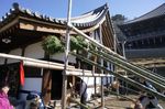 DSC06494.jpg