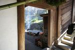 DSC06498.jpg