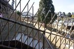 DSC06502.jpg