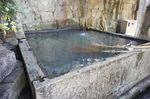 DSC06519.jpg