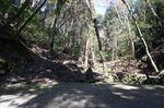 DSC06530.jpg