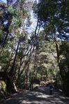DSC06536.jpg