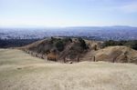 DSC06542.jpg
