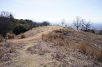 DSC06555.jpg