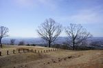 DSC06557.jpg