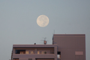 DSC07733.JPG